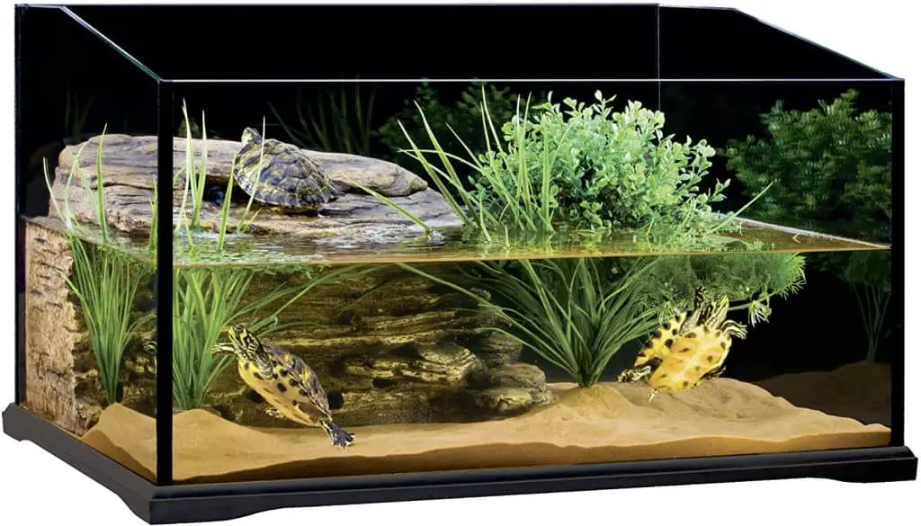 Exo Terra Glass Turtle Terrarium