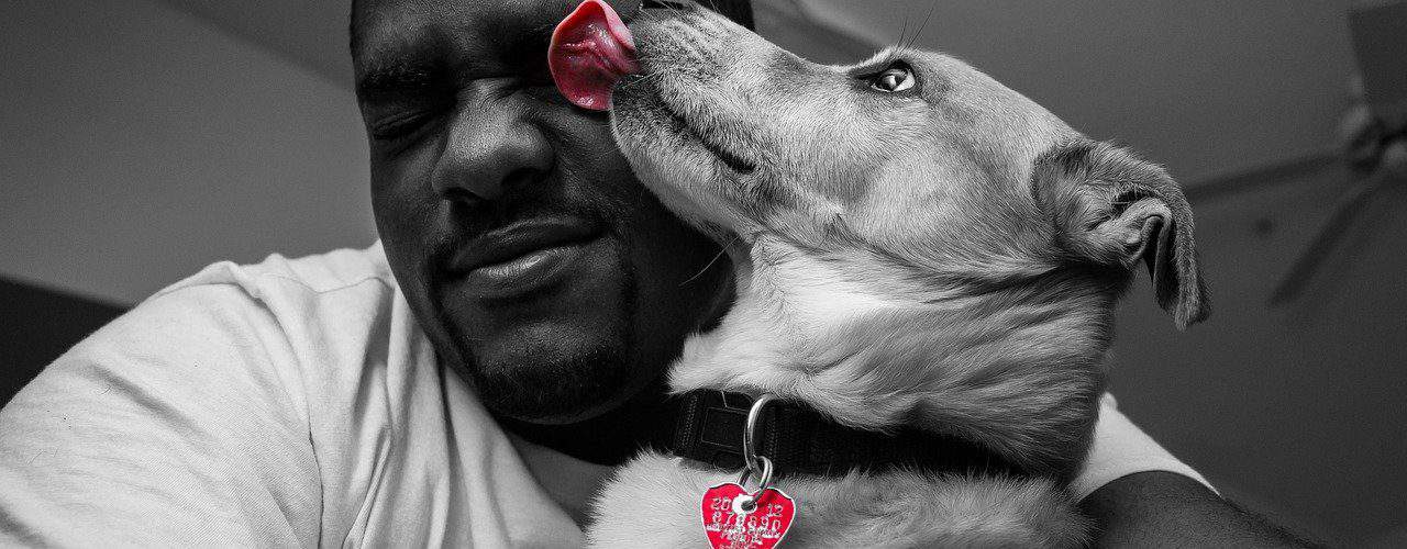 Everything You Need To Know About Dog Licking