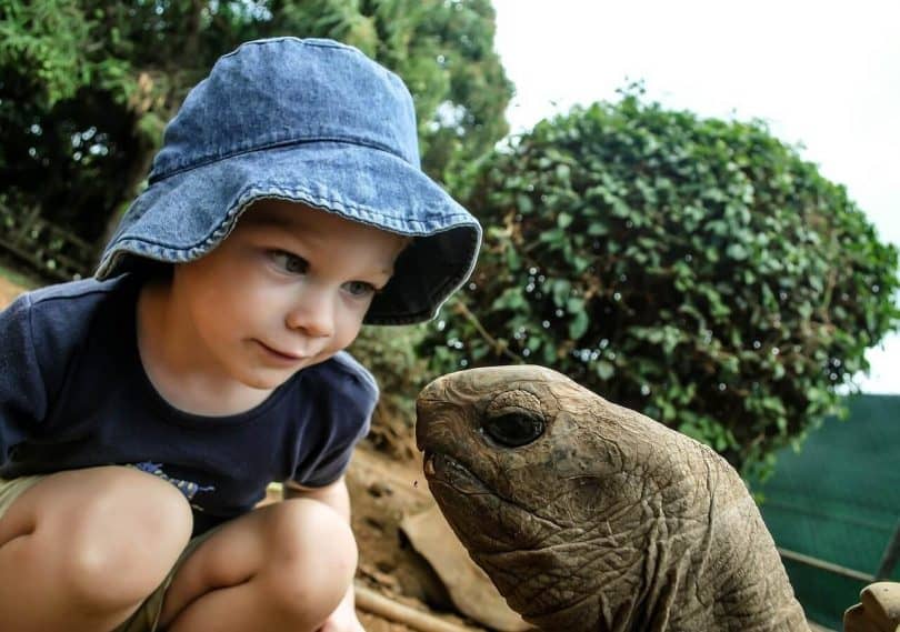 Turtle and Owner