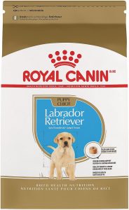 Royal Canin Breed Health Nutrition Labrador Retriever Puppy