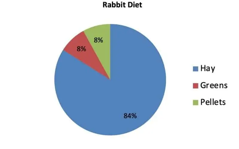 Rabbit Diet