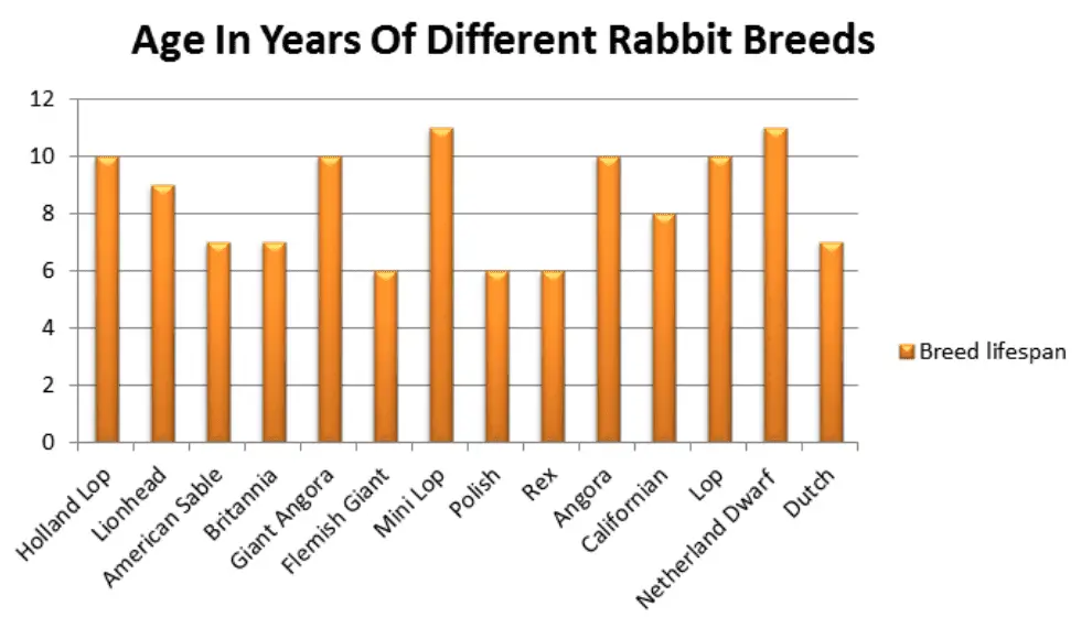 Age In Years Of Different Rabbit Breeds