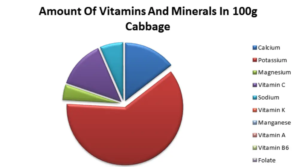 Amount Of Vitamins And Minerals In 100g Cabbage