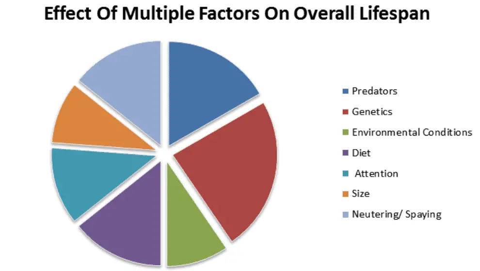 Effect Of Multiple Factors On Overall Lifespan