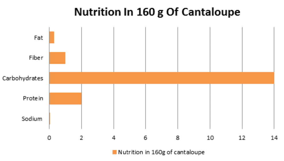 Nutrition In 160 g Of Cantaloupe