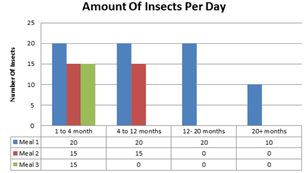 Amount Of Insects Per Day