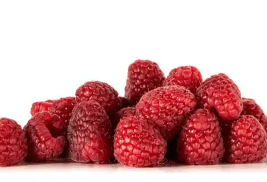 Can Bearded Dragons Eat Raspberries All You Need To Know