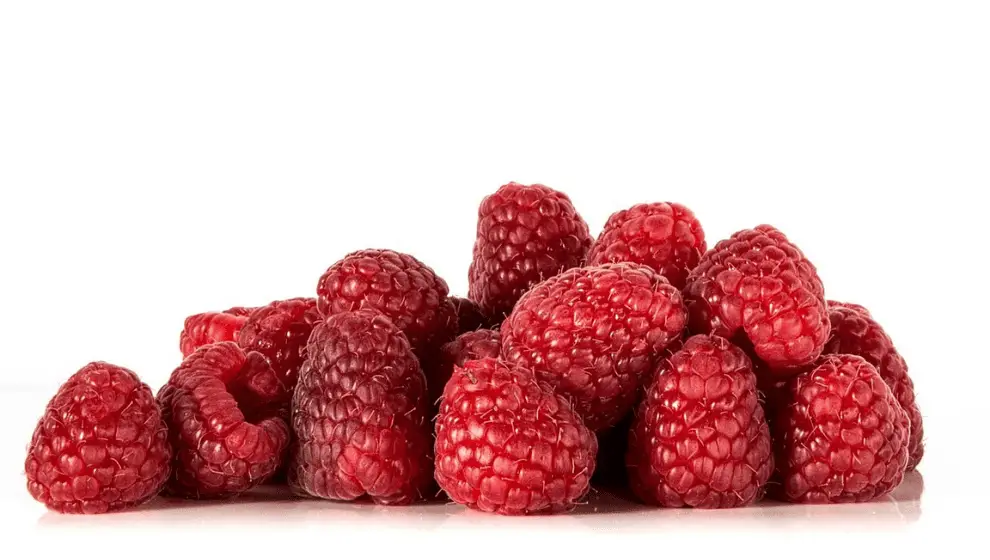 Can Bearded Dragons Eat Raspberries All You Need To Know