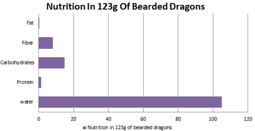Nutrition In 123g Of Bearded Dragons