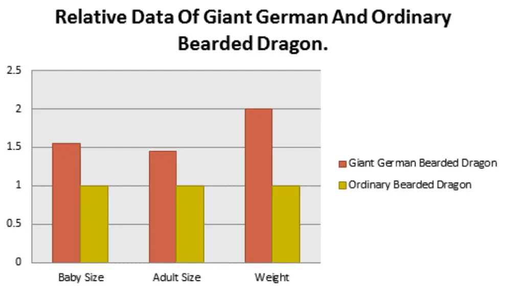 Relative Data Of Giant German And Ordinary Bearded Dragon.